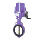 Electrical Actuator with Valve
