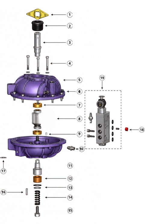 Exploded View